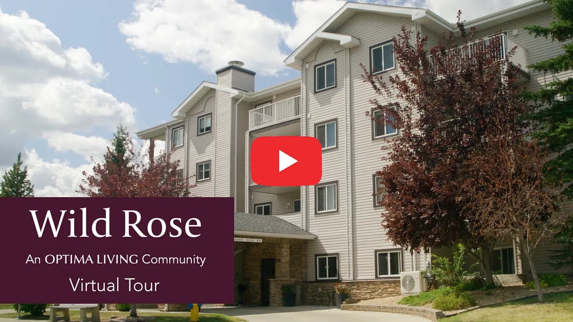 25_06 Wild Rose - Thumbnail