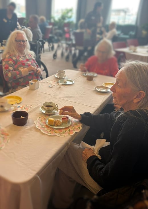 Optima Living April 2026 Newsletter 56 easter