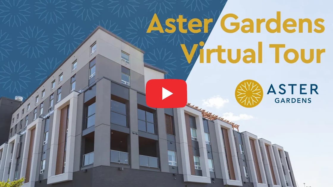 981ccb3a-a7d1-5946-f0bb-6e8a11702cbd-1