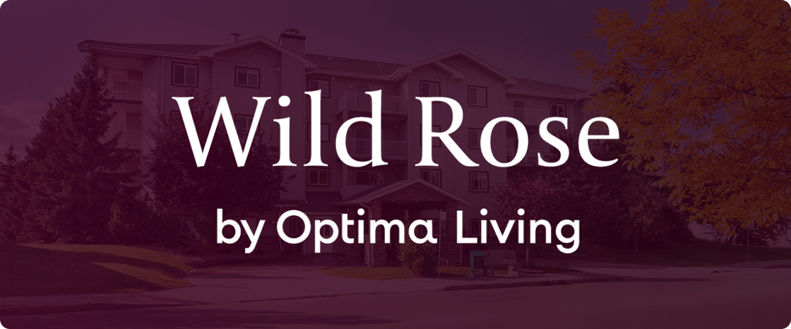 25_08 Wild Rose - Main Header v1a